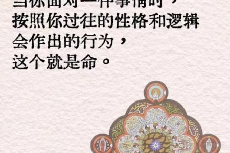 测出你的命运：命是什么，如何改变命运？