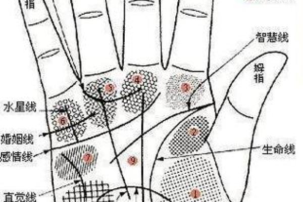看手相识命理,揭示你未知的性格与命运 看手相识命理,揭示你未知的性格与命运