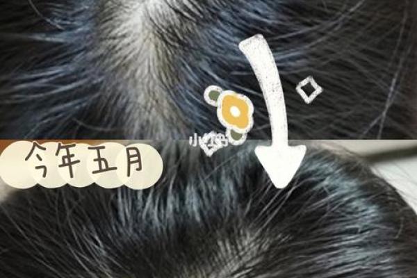 揭秘男生命格：为何红颜倍增的秘密