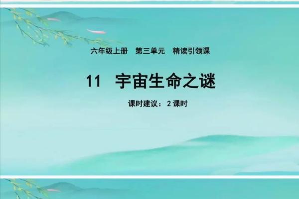 探索生命的奥秘：命的拼音与生命哲学的深刻联系