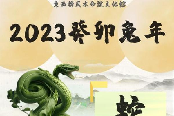 2023年是黑水兔年：细谈兔年运势与命理解析