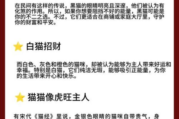 根据命理选择适合你的猫咪，缘分从此开始！