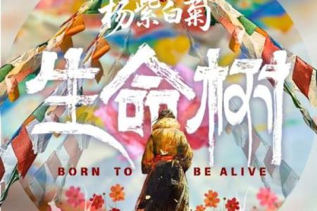 小树命与大树命：柔韧与壮丽的生命启示