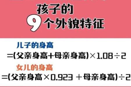 2019年出生宝宝的命运解析：他们将如何影响家庭与社会