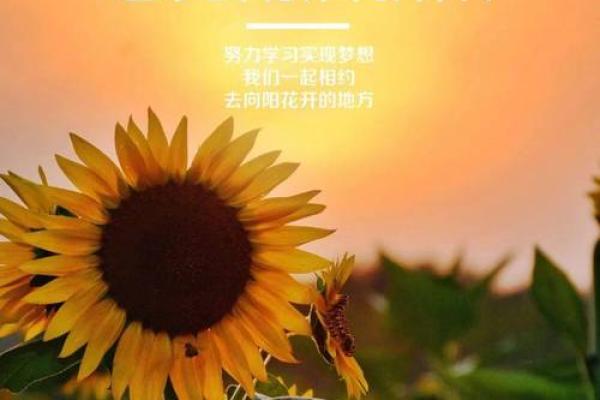 不喜欢约束的命格,追逐自由与梦想的灵魂之旅 不喜欢约束的命格,追逐自由与梦想的灵魂之旅