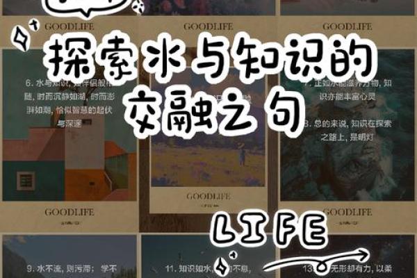 2021年：十七岁命运的探索与启示