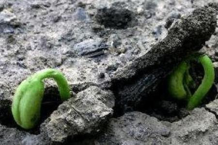 1999年正月十三：命运的转折与人生的选择