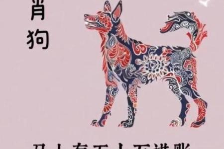 属狗人农历二月的命理解析：善良与勇气的结合