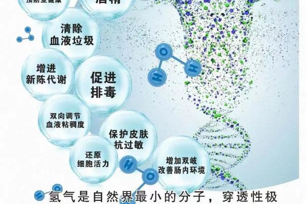 2022年水命解析：如何利用水元素带来的好运与机遇？