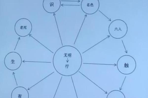 命运的秘密:如何透过命理看懂人生的轨迹 命运的秘密:如何透过命理看懂人生的轨迹