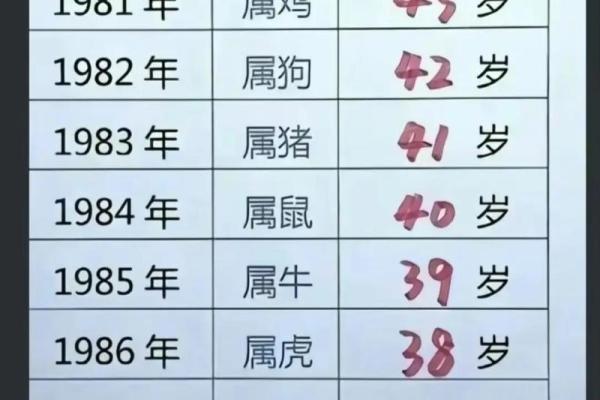 1988年属龙人命运解析：揭示个性与生活的奥秘