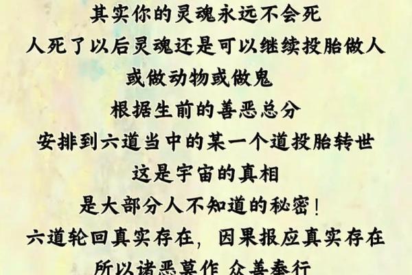 命是什么,运是什么:人生的奥秘与智慧探寻 命是什么,运是什么:人生的奥秘与智慧探寻