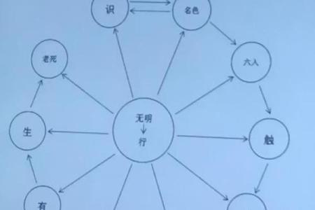 命运的秘密：如何透过命理看懂人生的轨迹