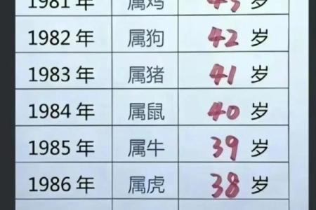 1988年属龙人命运解析：揭示个性与生活的奥秘