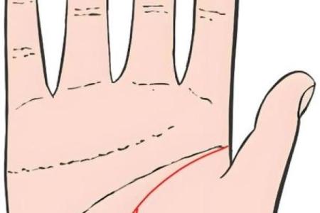 掌纹命线开叉的深意，揭示你生命的多重可能性！