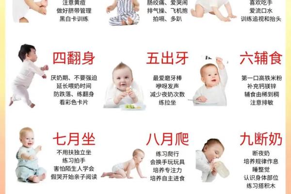 2014年9月出生的宝宝,命运与性格解析! 2014年9月出生的宝宝,命运与性格解析!