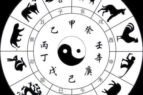 天狗入命：揭示生肖秘密与命理的奥秘