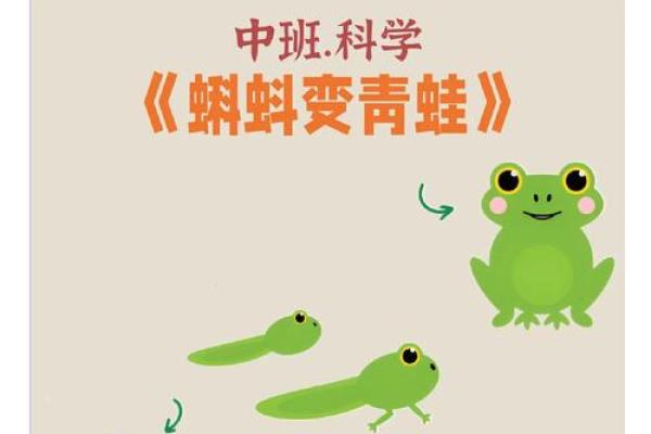 青蛙的奇幻旅程:从池塘到星空的蜕变 青蛙的奇幻旅程:从池塘到星空的蜕变