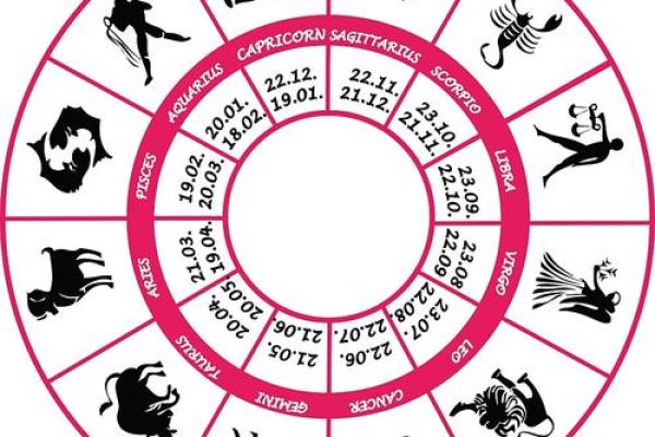 每年属什么?揭秘命运与生肖的奇妙联系! 每年属什么?揭秘命运与生肖的奇妙联系!