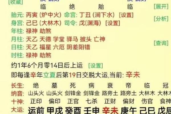 癸酉年出生的人:命理与性格的深度解析 癸酉年出生的人:命理与性格的深度解析