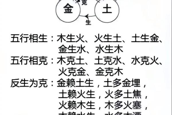 金木水火土命的奇妙搭配与人生智慧探寻