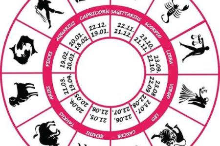 每年属什么？揭秘命运与生肖的奇妙联系！