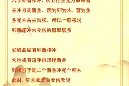 1999年亥时出生的人，命运与机遇的独特解析