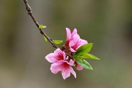 农历94年出生的人：独特命运与生活启示