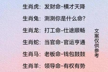 如何根据命理缺失选择最合适的属相，提升运势与生活质量