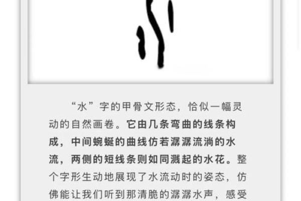 命属水者适合从事的行业与职业探索 命属水者适合从事的行业与职业探索