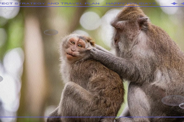 2016年出生的孩子命运解析：了解他们的个性与未来之路