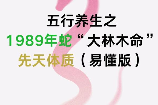 大林木命蛇佩戴饰品的神秘与选择指南