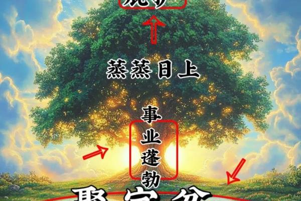 木命聚财颜色推荐：春意盎然，财富伴你行！