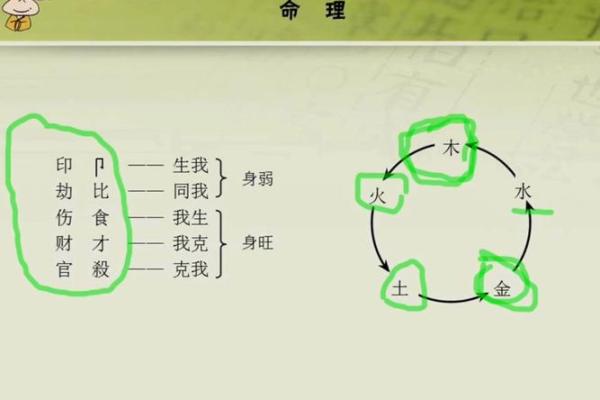 1991年出生的人是什么命？命理 secrets 全解析