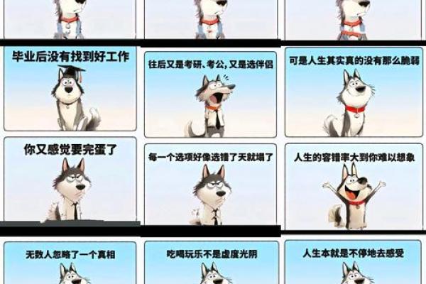 年纪轻轻去世的命运与人生意义探讨