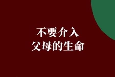 没有离婚命格的人生哲学：拥抱爱情与责任的力量