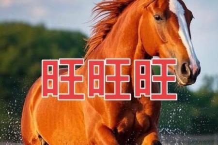 2023年属马人的运势与命理解析：迎接挑战，收获成功的年份