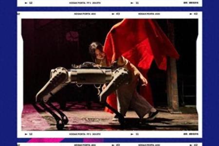 占卜命运：我将死于何种命运的深度探讨