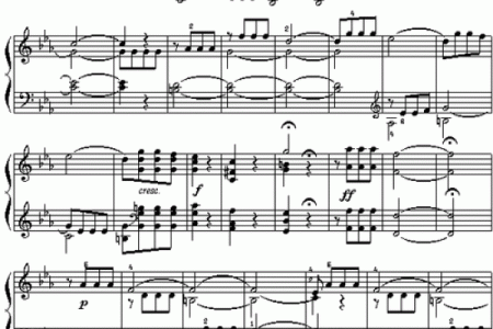 2009年——岁月的旋律与命运的交响曲