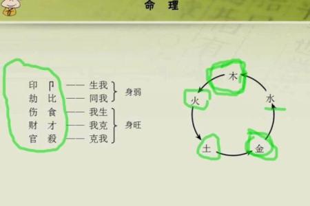 1991年出生的人是什么命？命理 secrets 全解析