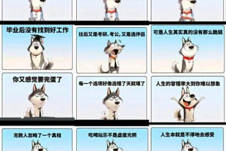 年纪轻轻去世的命运与人生意义探讨