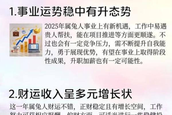 2023兔年解析：命运、运势与生活建议的全面指南