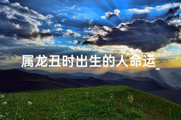 揭开2012年农历命运之谜:属龙命人的人生哲学与追求 揭开2012年农历命运之谜:属龙命人的人生哲学与追求