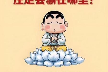 1976年出生的命运，细说鼠年人的人生轨迹与性格特征