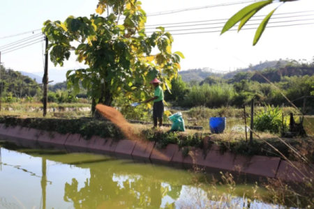 命理解析：适合从事水产行业的人群特征