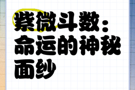 1974年的命运探秘：揭开命理之谜的面纱