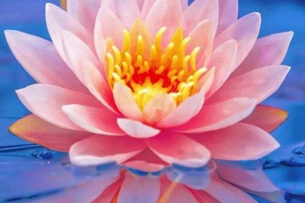 胸脯上有瘊子的命运解析:暗示着你的人生轨迹与性格特征! 胸脯上有瘊子的命运解析:暗示着你的人生轨迹与性格特征!