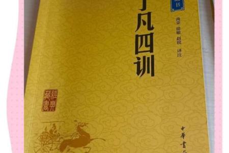 33岁：命运的转折点，迎接新的可能与挑战