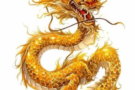 1978年出生的人生肖与命运分析：命运的奥秘与人生之路