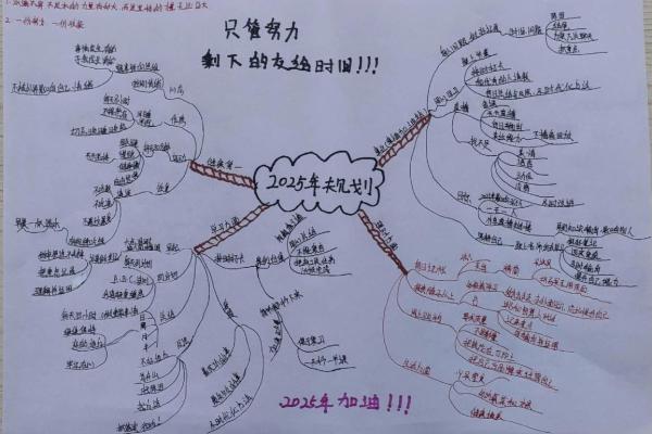 1919年生人如何规划人生之路，走向辉煌未来？